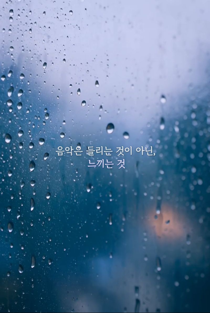 음악은 들리는 것이 아닌 느끼는 것